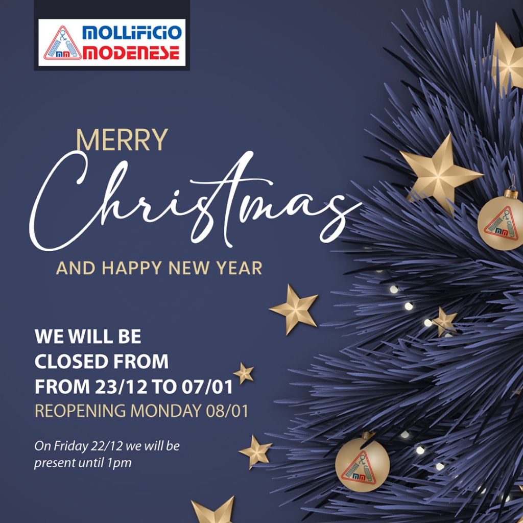 We wish you a Merry Christmas and a Happy New Year!